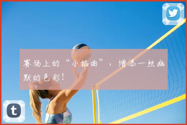 赛场上的“小插曲”,增添一丝幽默的色彩!