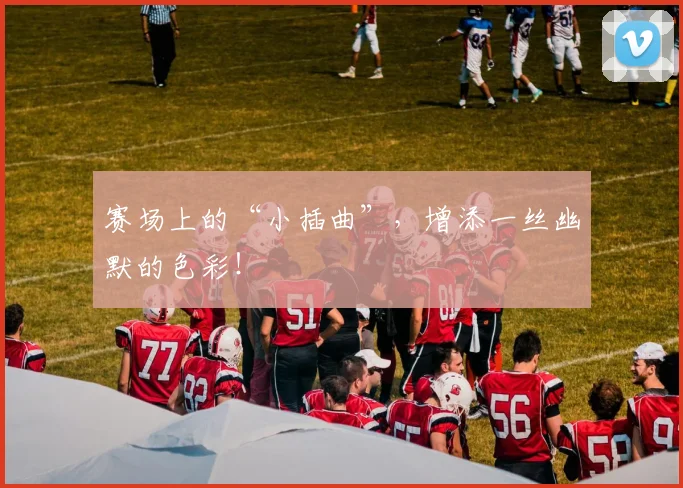 赛场上的“小插曲”,增添一丝幽默的色彩!